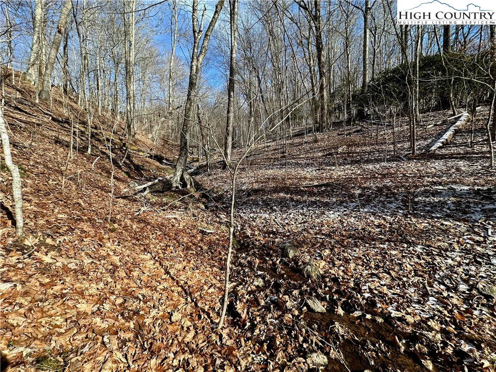 Image number 13 for the current listing