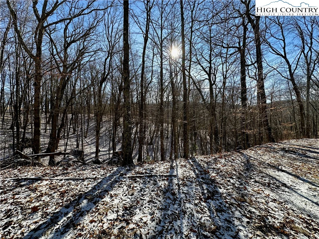 Image number 14 for the current listing