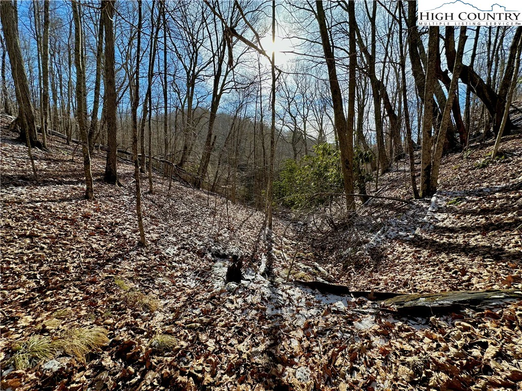 Image number 9 for the current listing