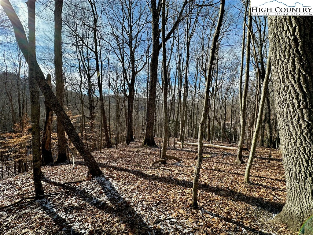 Image number 15 for the current listing