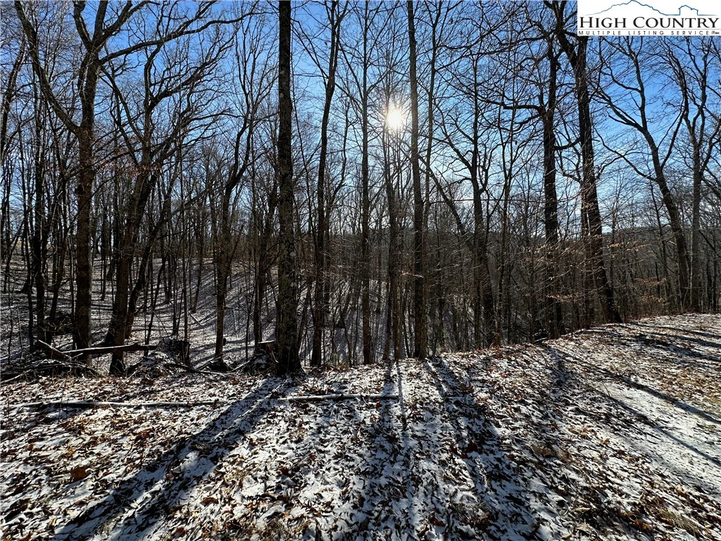Image number 2 for the current listing