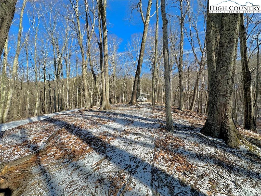 Image number 17 for the current listing