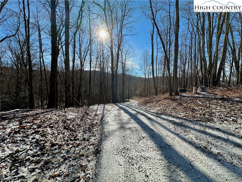 Image number 18 for the current listing