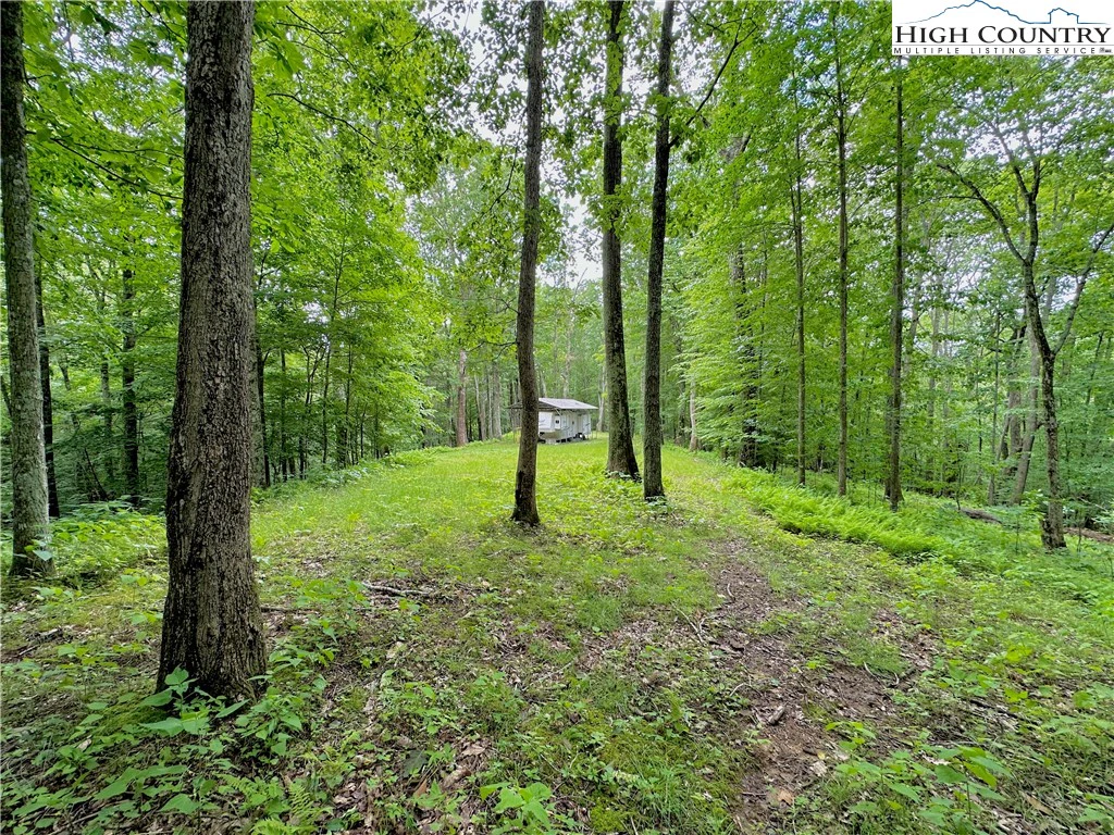 Image number 1 for the current listing