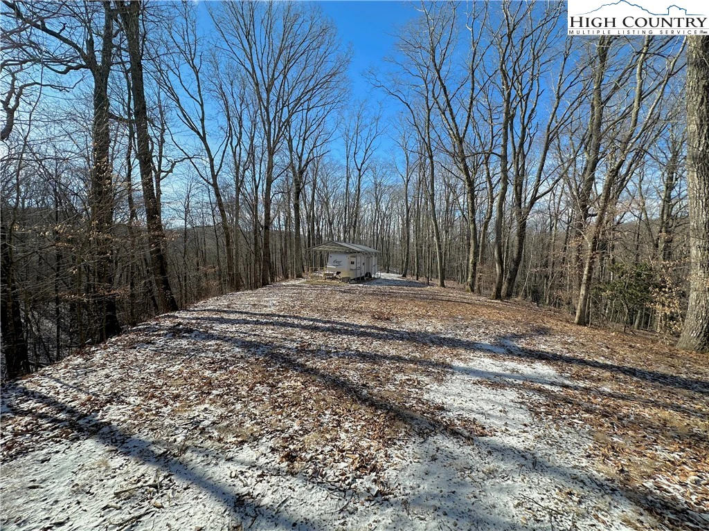 Image number 4 for the current listing