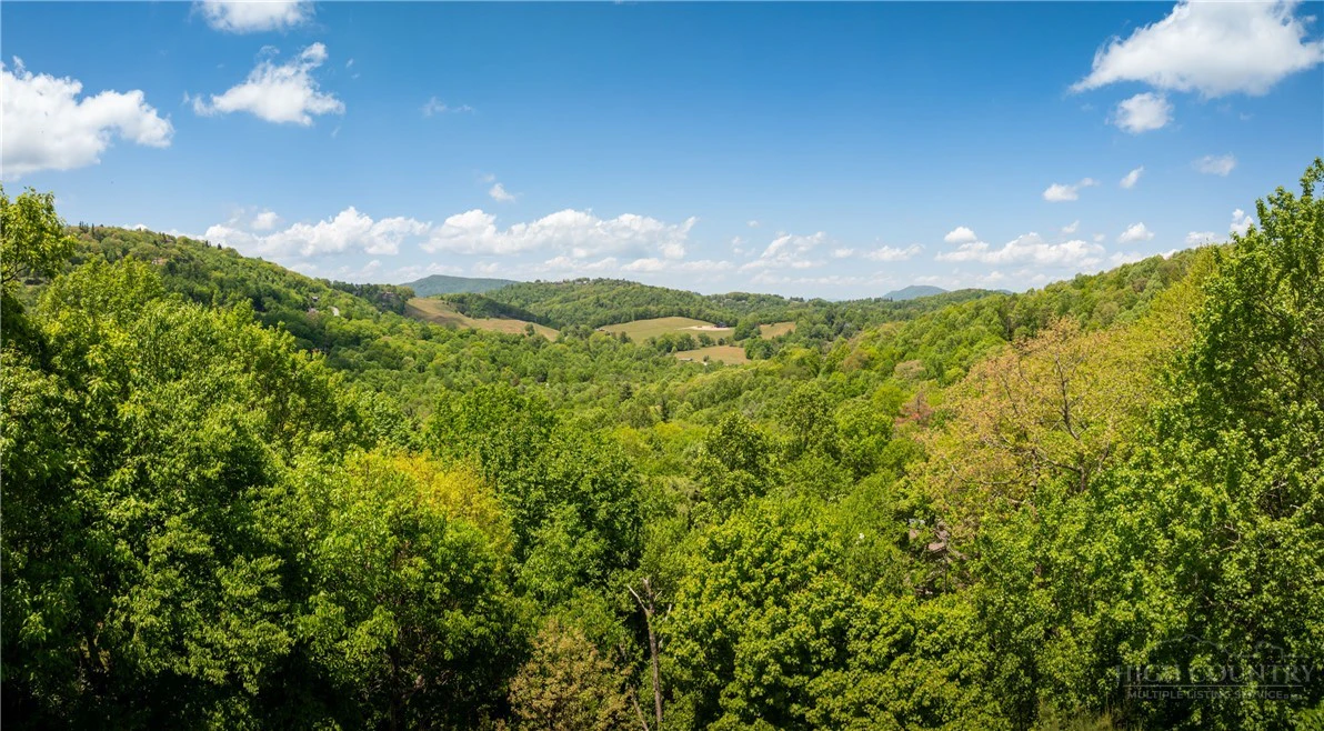 Image number 3 for the current listing