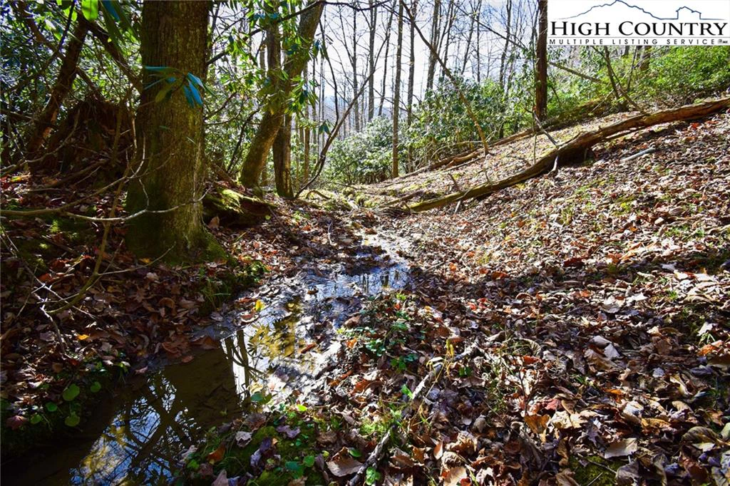 Image number 5 for the current listing