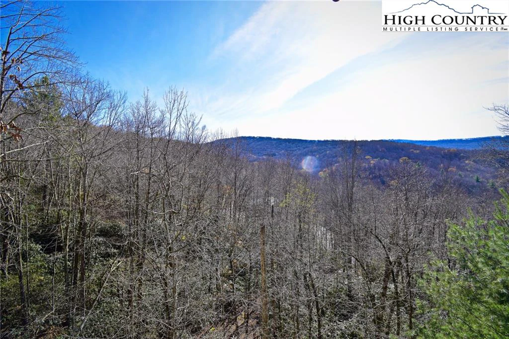 Image number 3 for the current listing