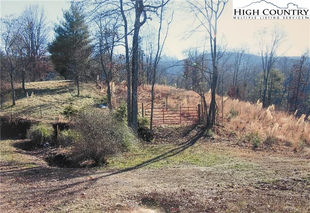 Image number 21 for the current listing