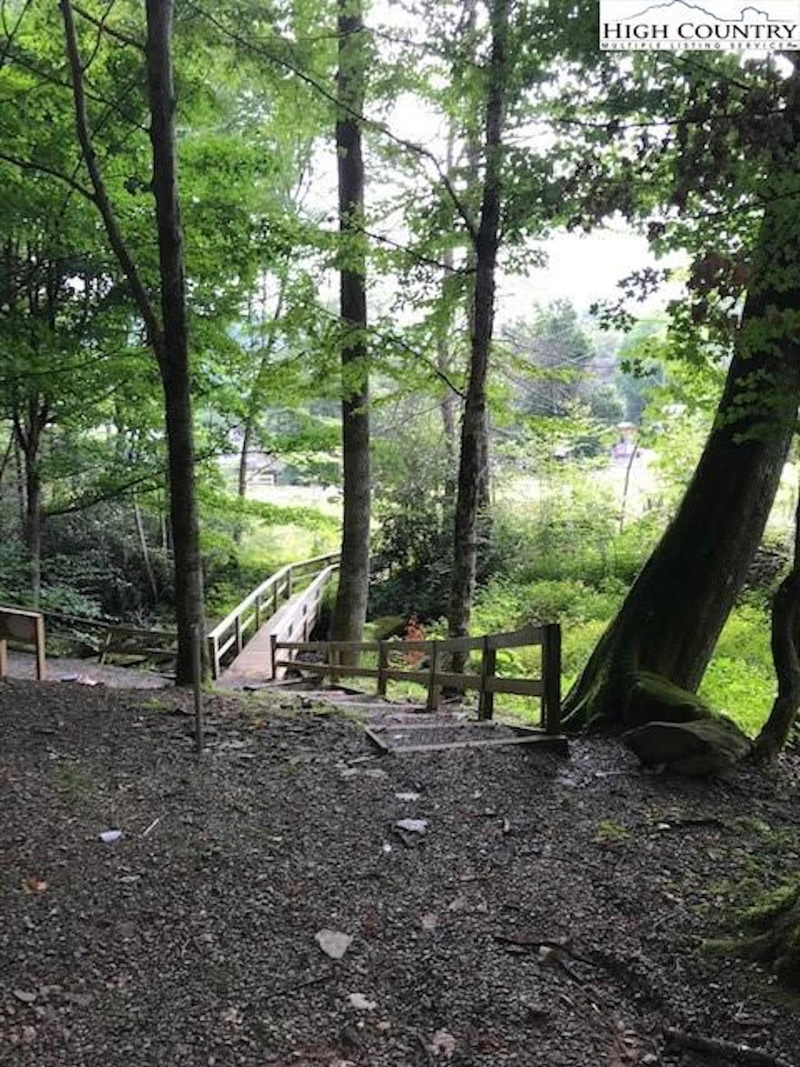 Image number 4 for the current listing