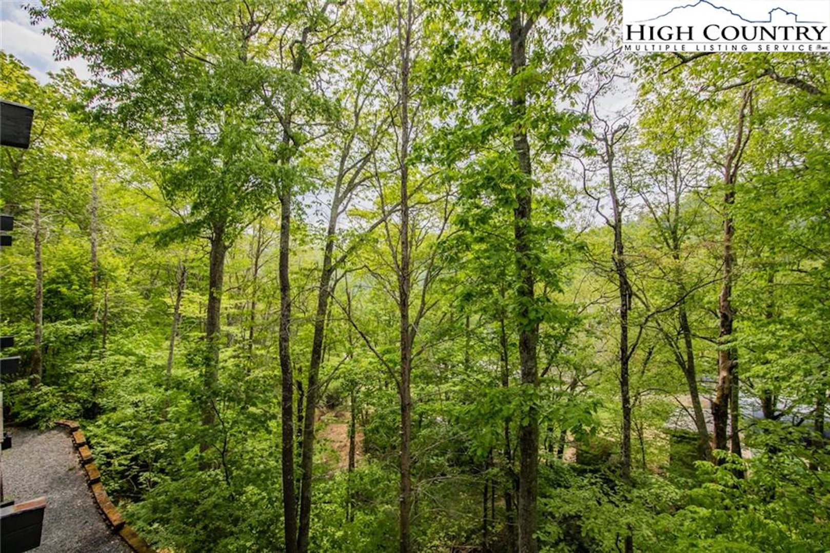 Image number 2 for the current listing