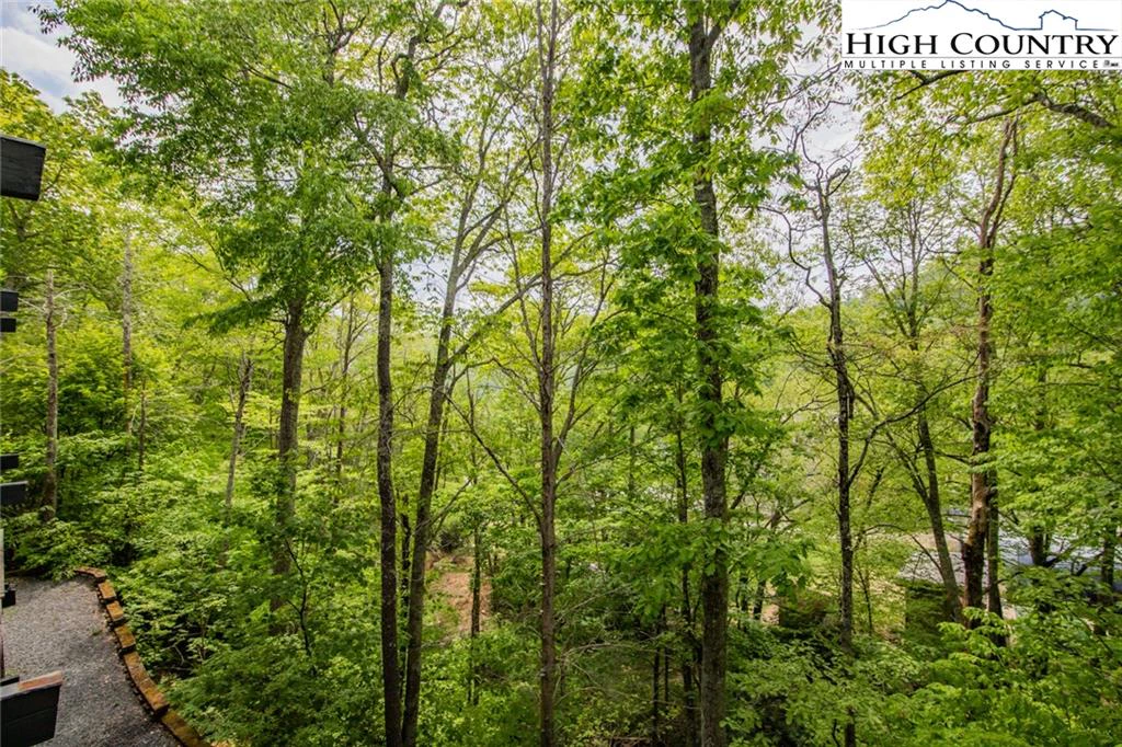 Image number 2 for the current listing
