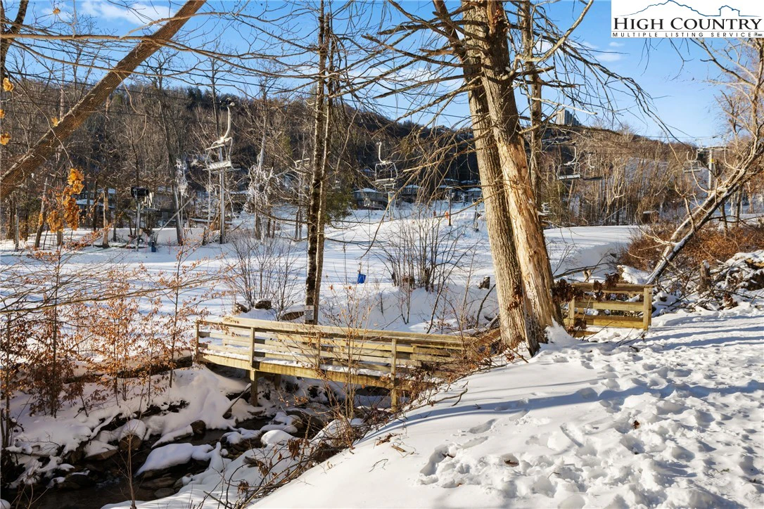 Image number 2 for the current listing