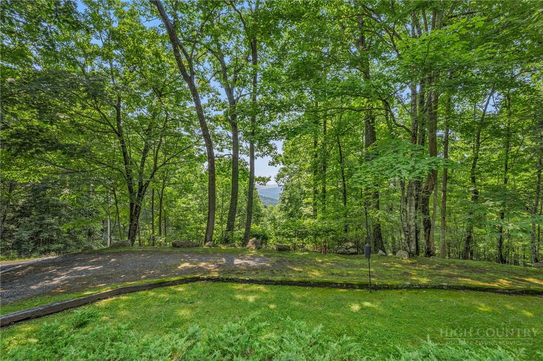 Image number 3 for the current listing