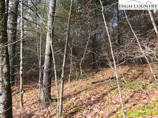 Image number 3 for the current listing