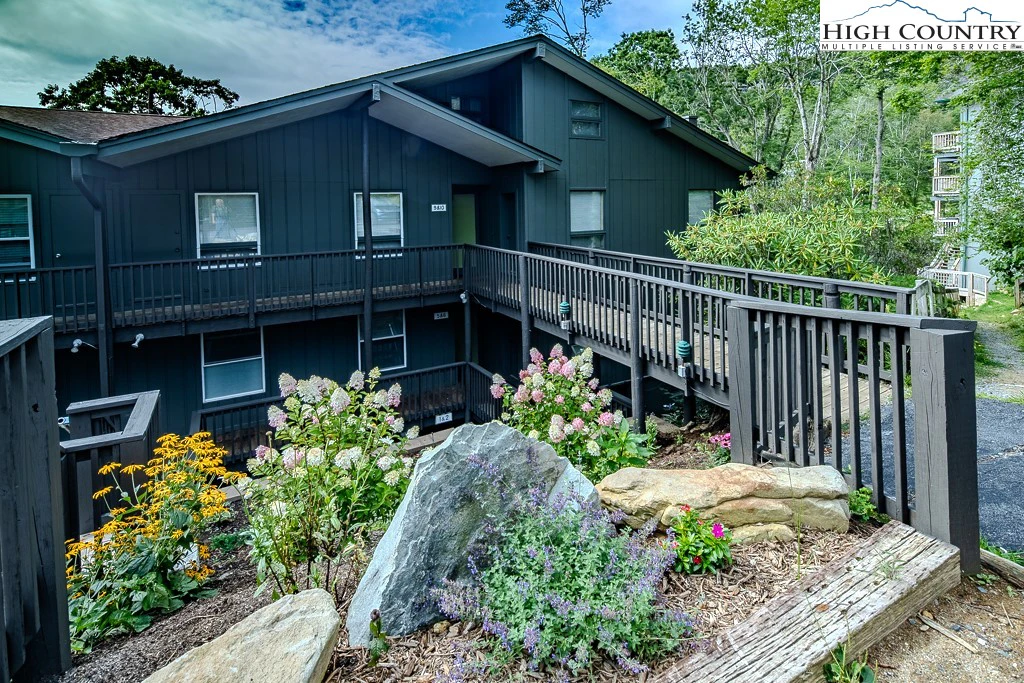 Image number 1 for the current listing