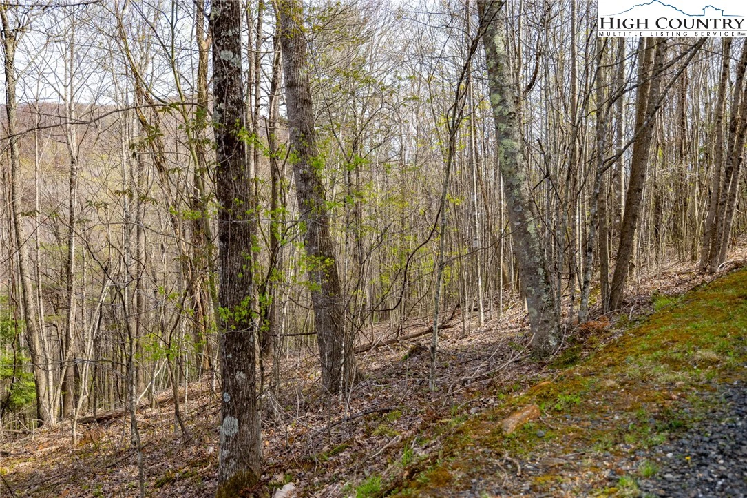 Image number 3 for the current listing