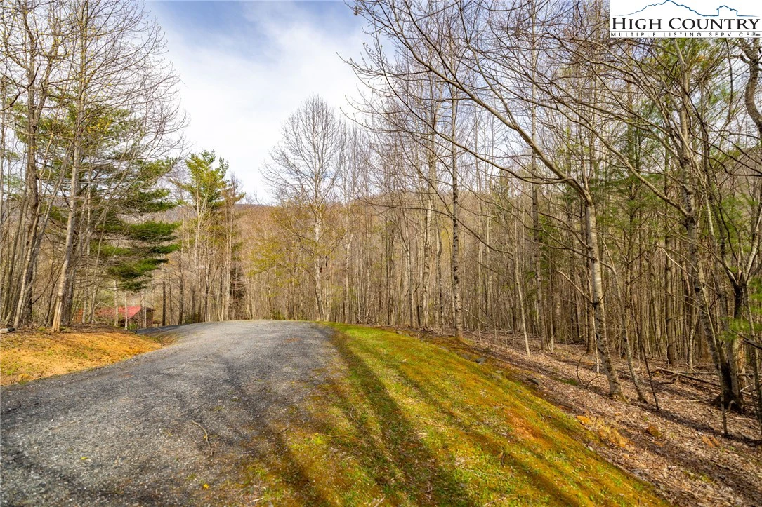 Image number 1 for the current listing