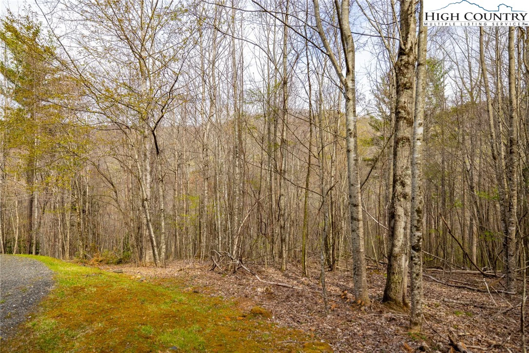 Image number 17 for the current listing
