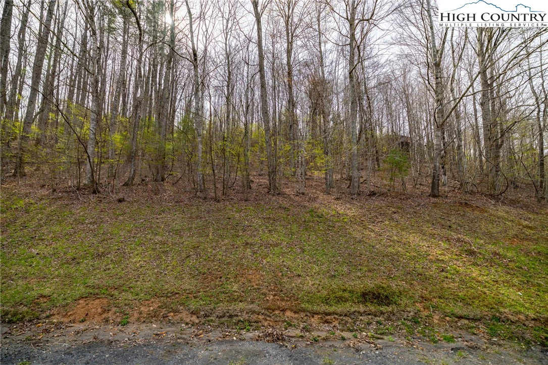 Image number 13 for the current listing