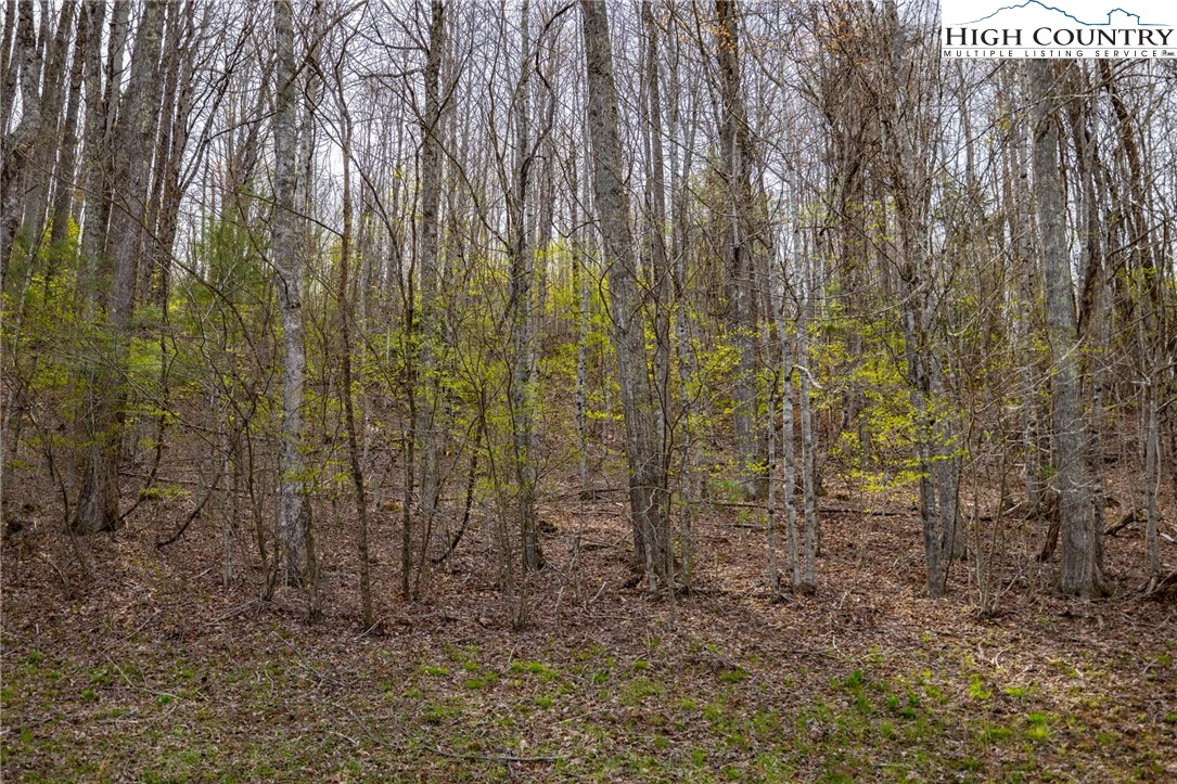 Image number 12 for the current listing