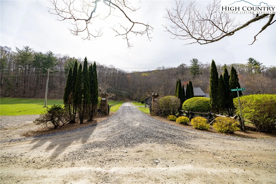 Image number 2 for the current listing