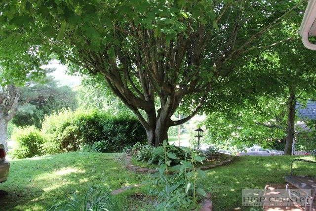 Image number 9 for the current listing
