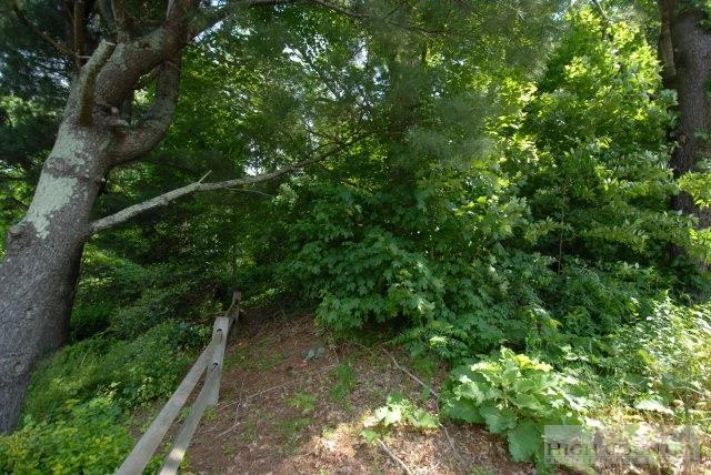 Image number 12 for the current listing