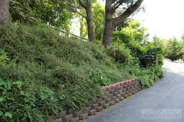 Image number 2 for the current listing