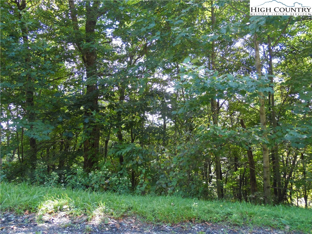 Image number 1 for the current listing
