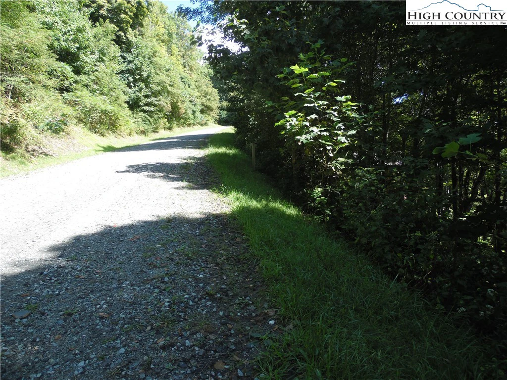 Image number 3 for the current listing