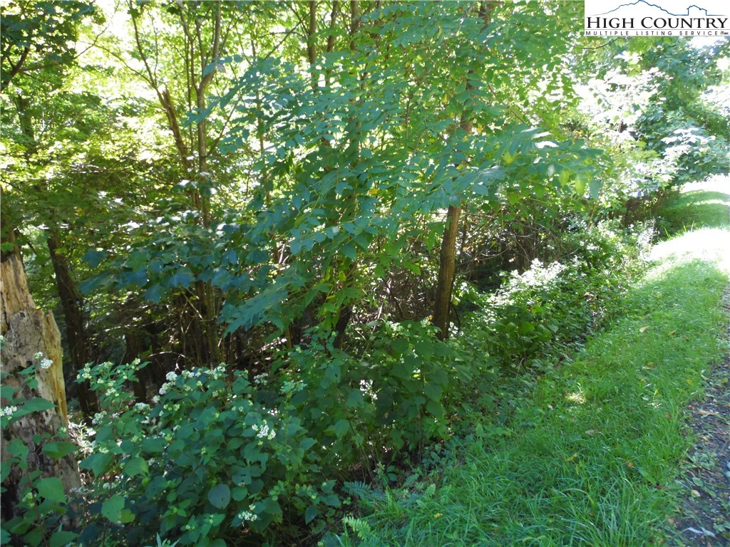 Image number 4 for the current listing