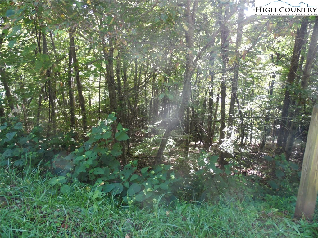 Image number 5 for the current listing