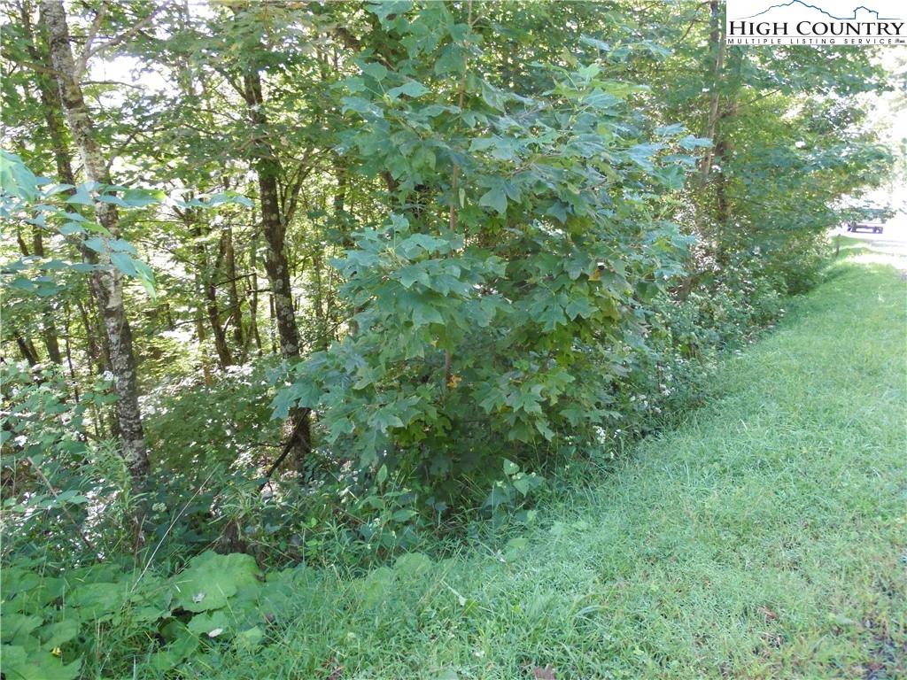 Image number 6 for the current listing