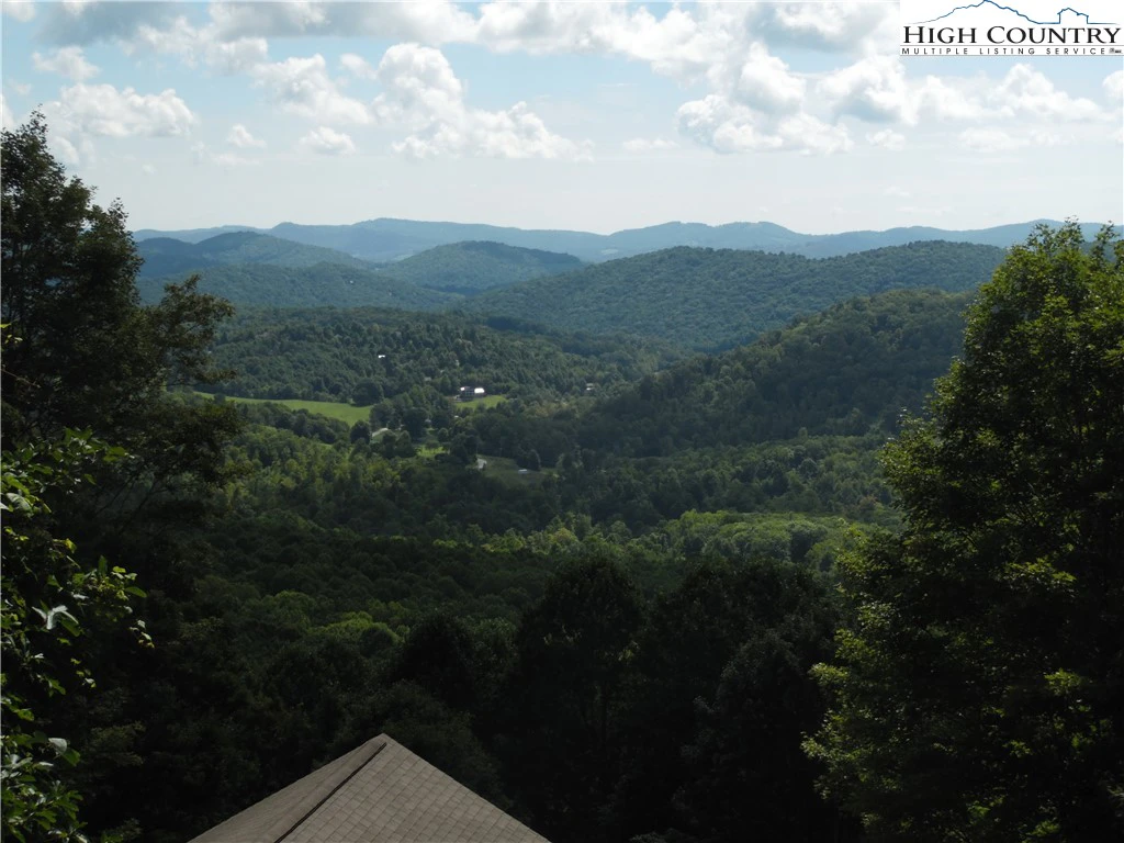 Image number 7 for the current listing