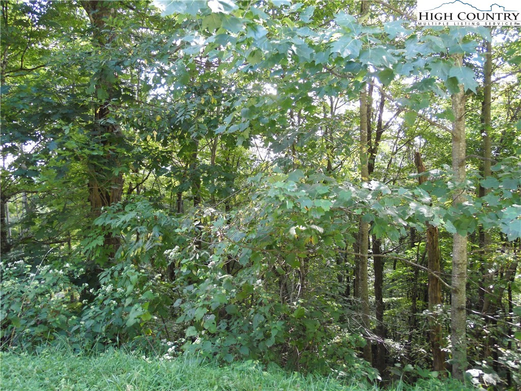 Image number 11 for the current listing