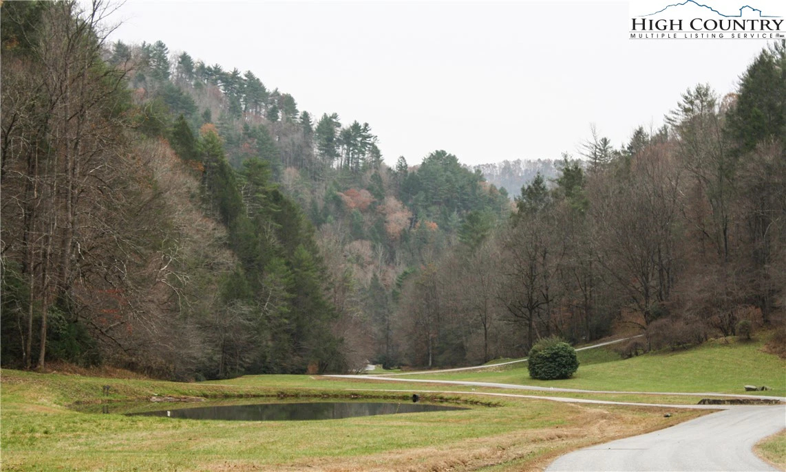 Image number 1 for the current listing