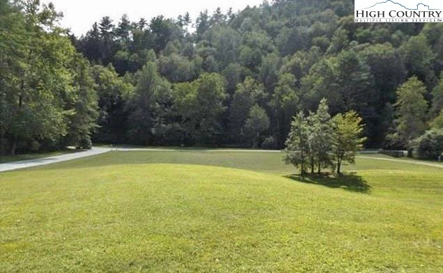 Image number 4 for the current listing