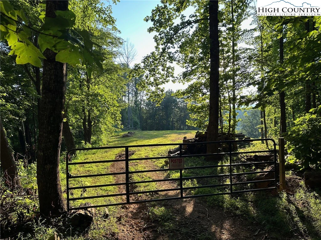 Image number 1 for the current listing