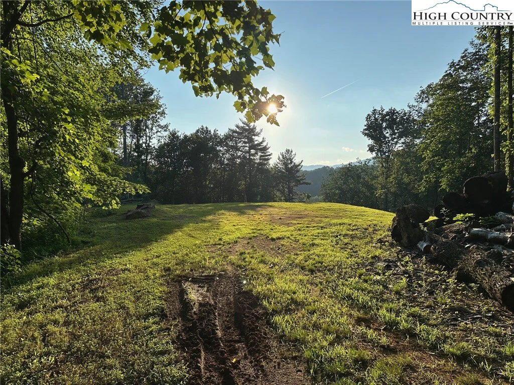 Image number 3 for the current listing