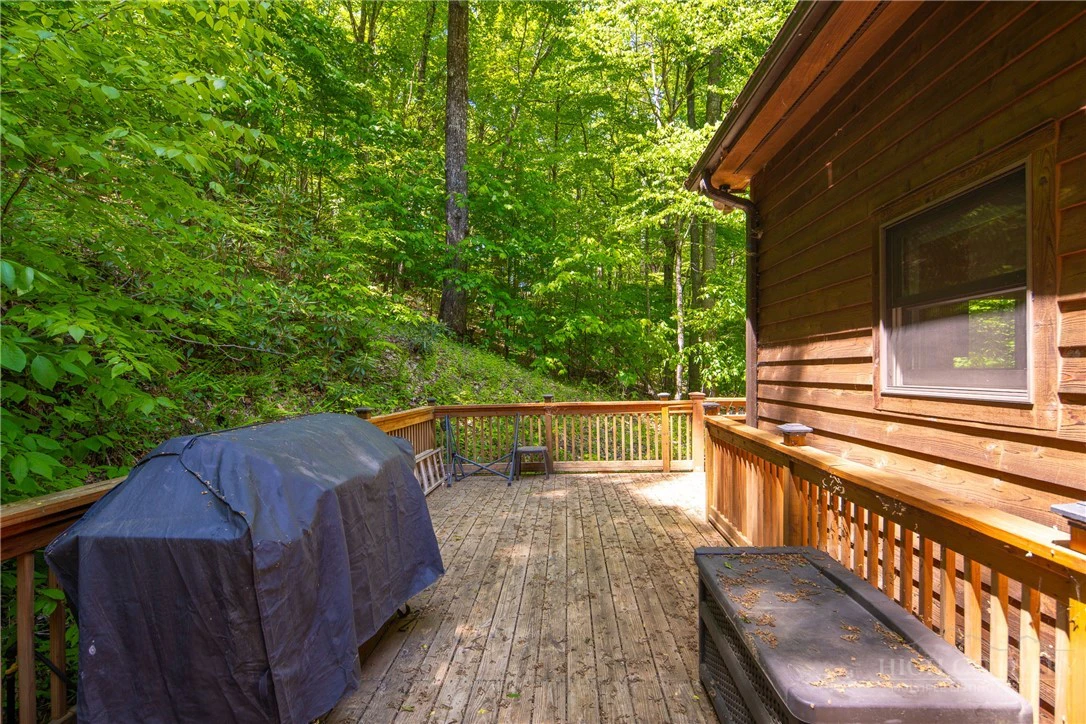 Image number 12 for the current listing