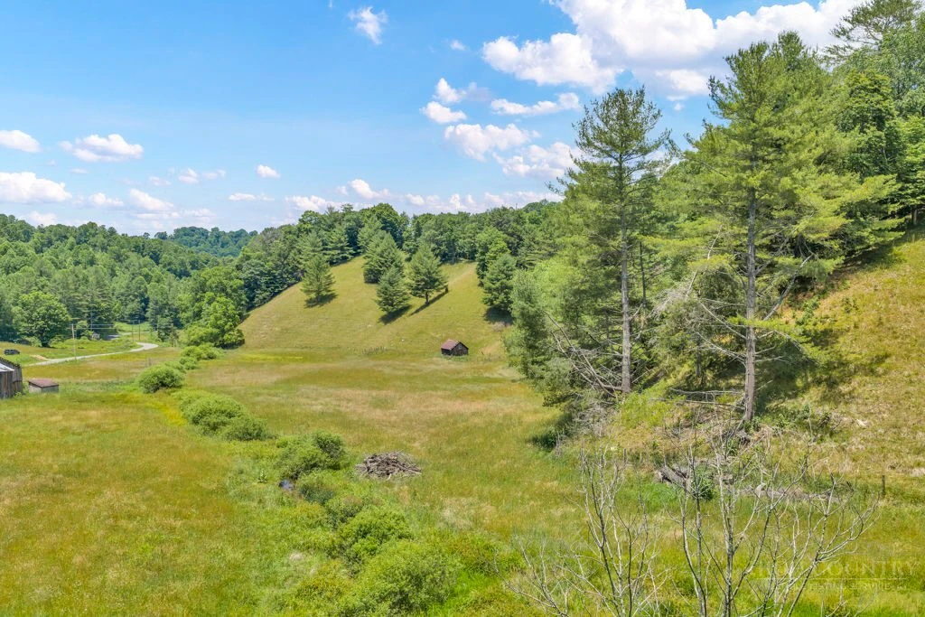 Image number 2 for the current listing