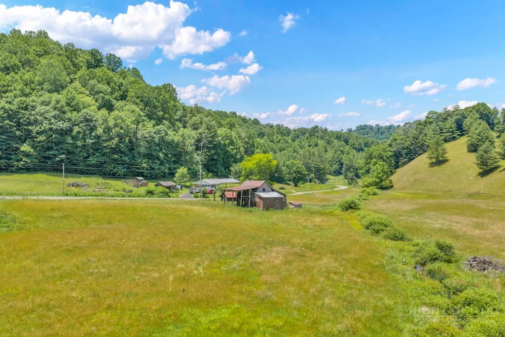 Image number 4 for the current listing