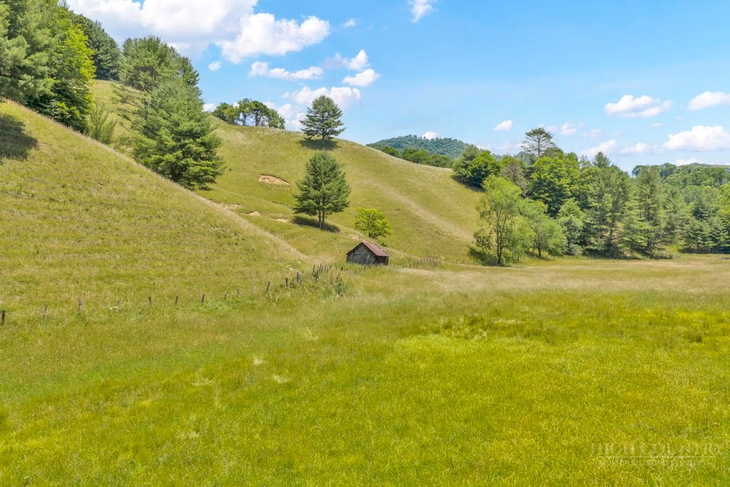 Image number 10 for the current listing