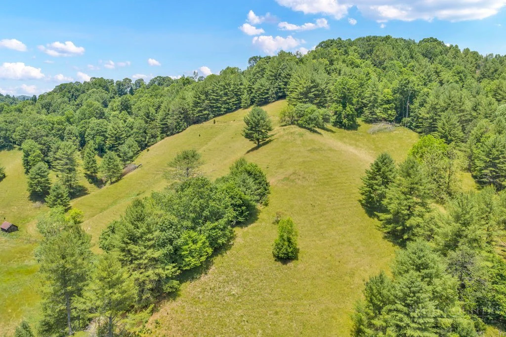 Image number 12 for the current listing
