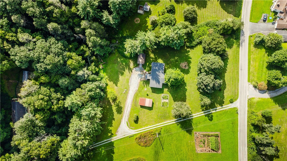 Image number 5 for the current listing