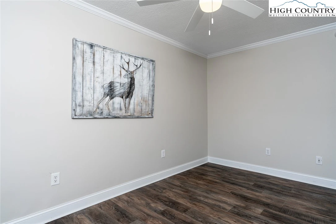 Image number 1 for the current listing