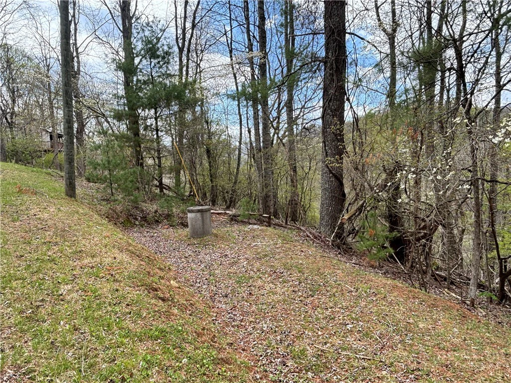 Image number 20 for the current listing