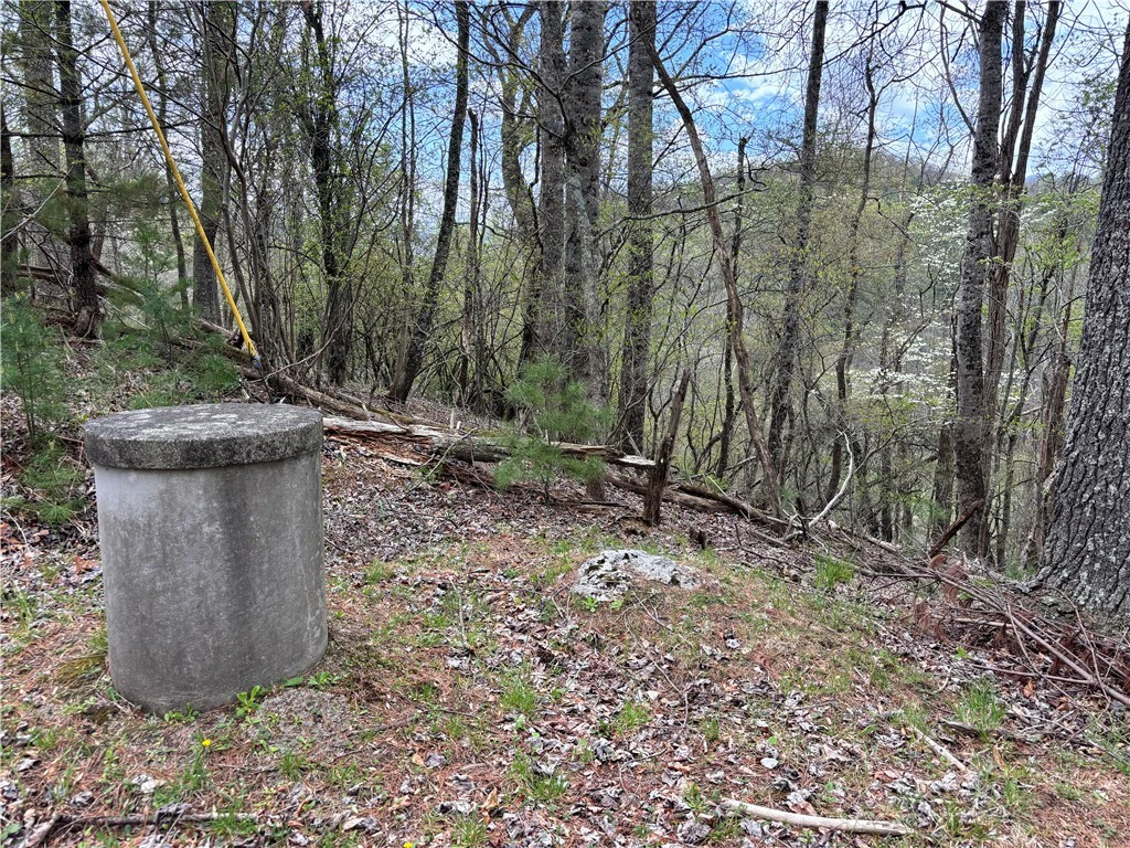Image number 21 for the current listing