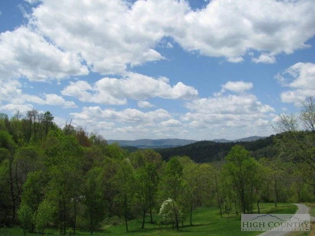Image number 14 for the current listing